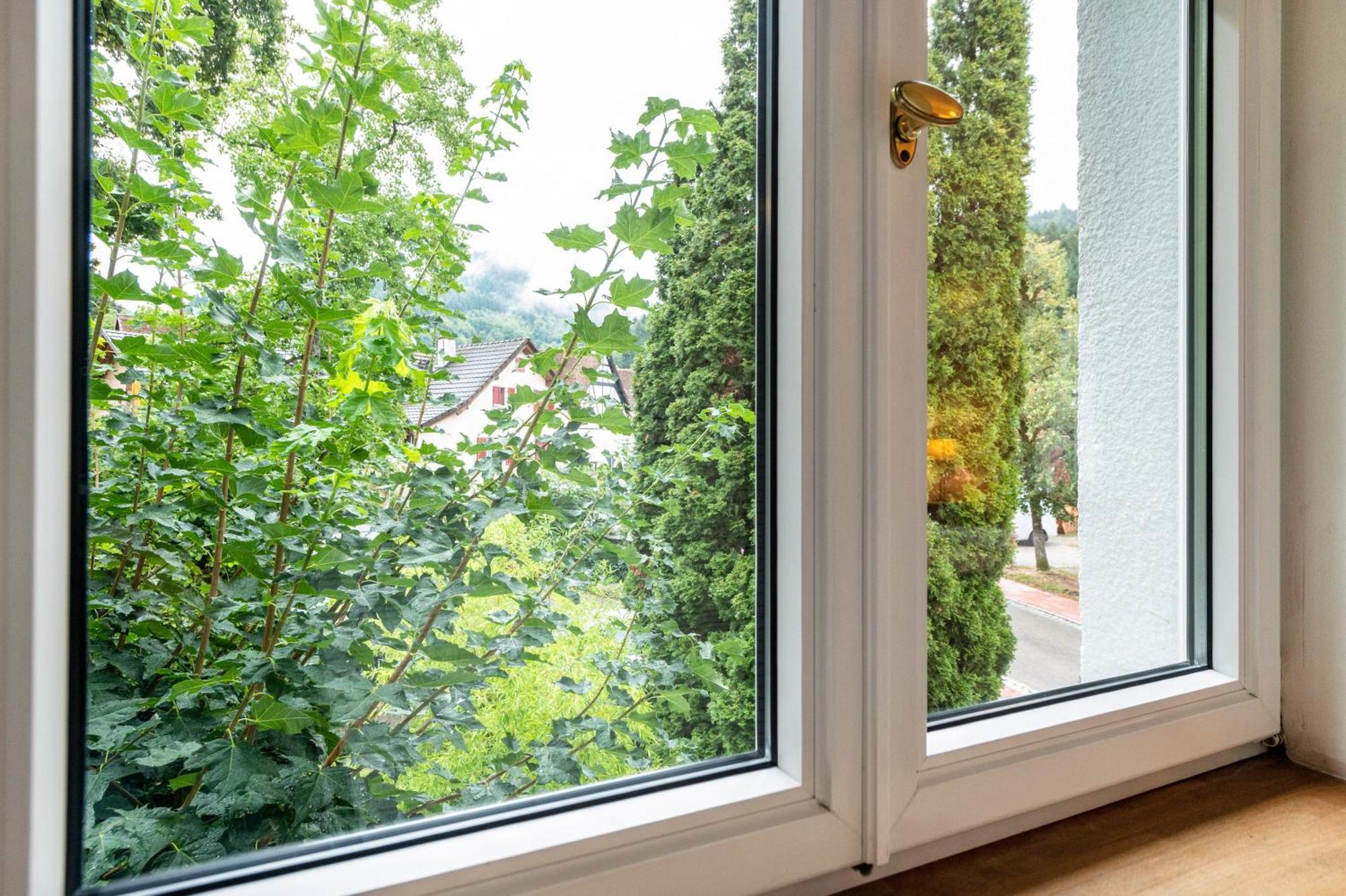 Appartement Waldhorn Badenweiler Kültér fotó