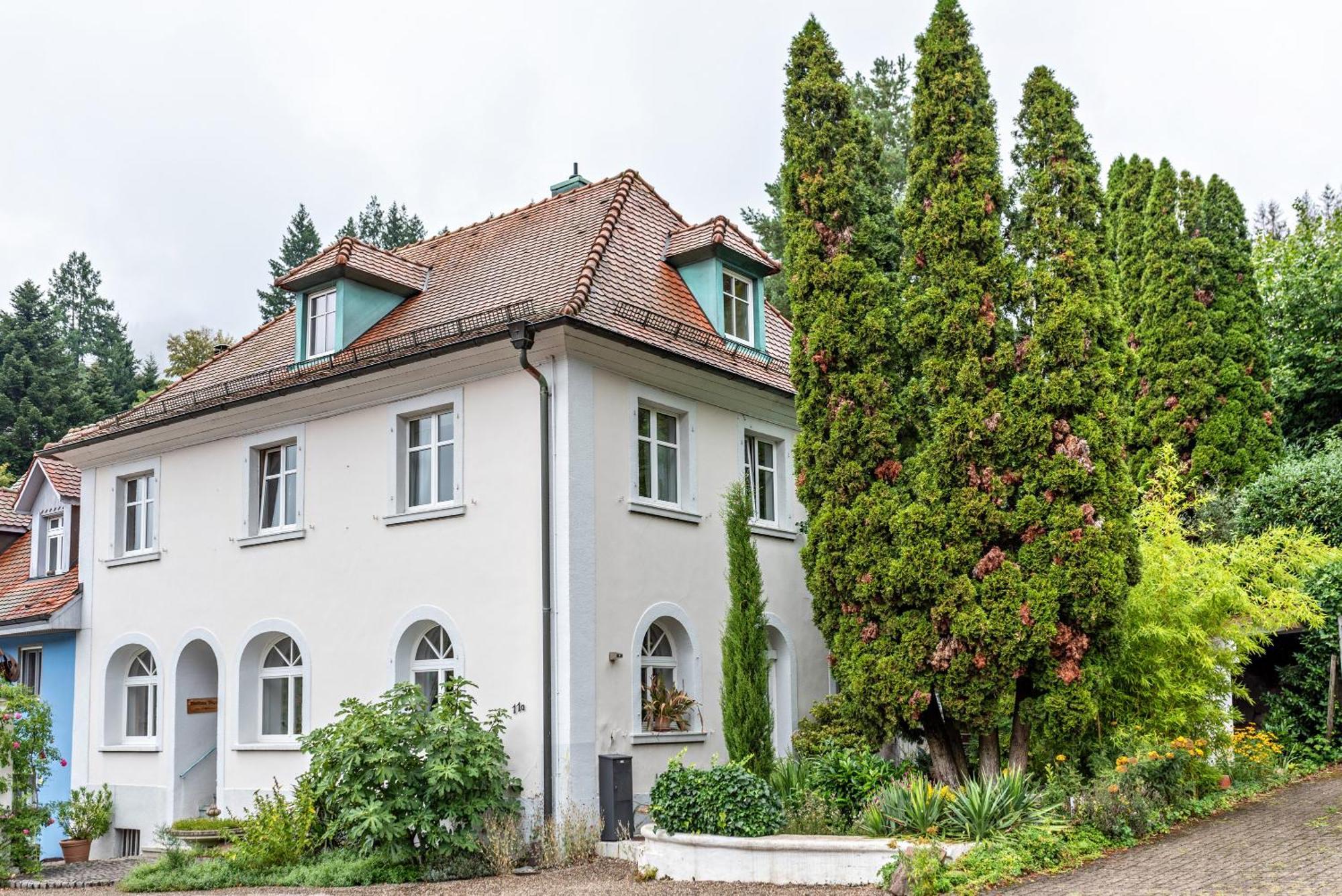 Appartement Waldhorn Badenweiler Kültér fotó